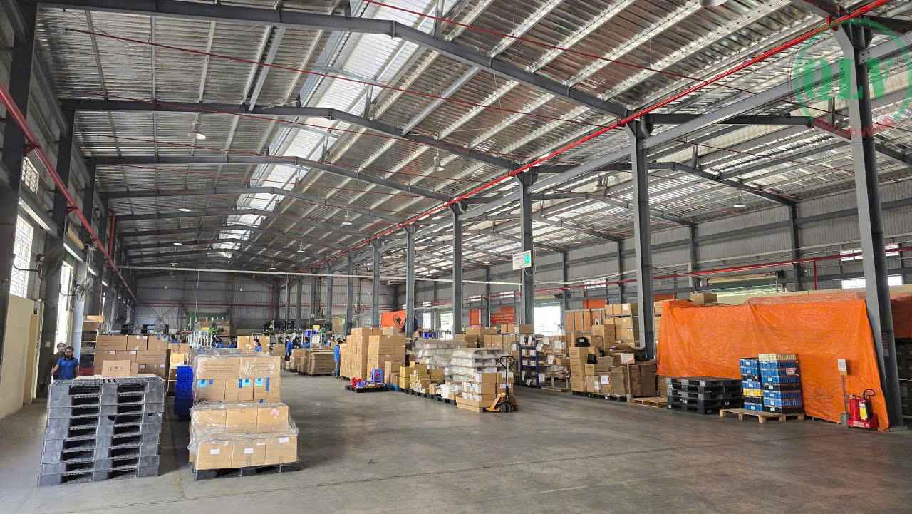 Ảnh đại diện