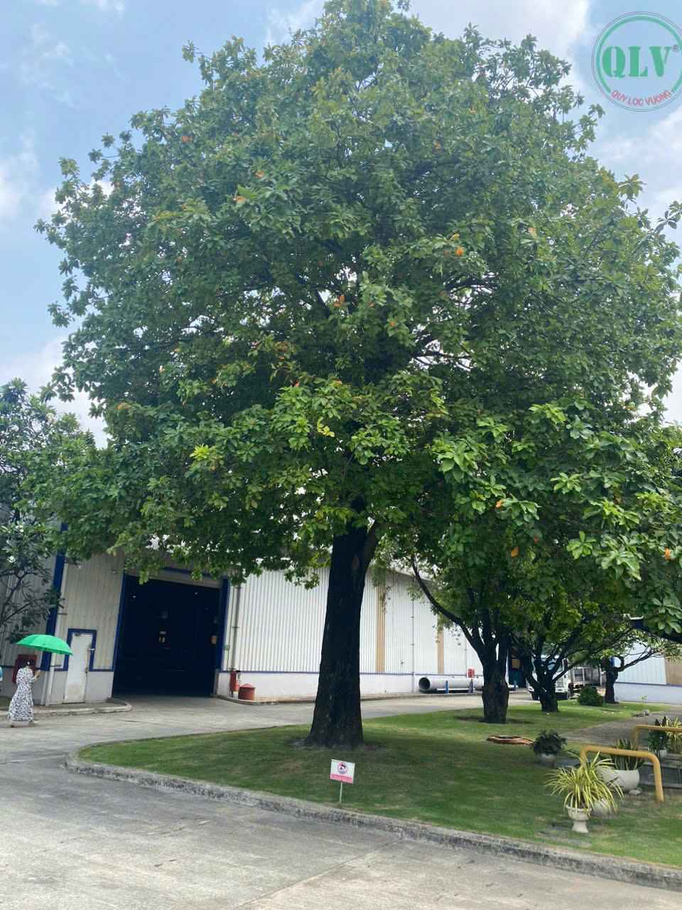 平阳省工厂出售，设施完善，便于快速连接各大港口及物流区