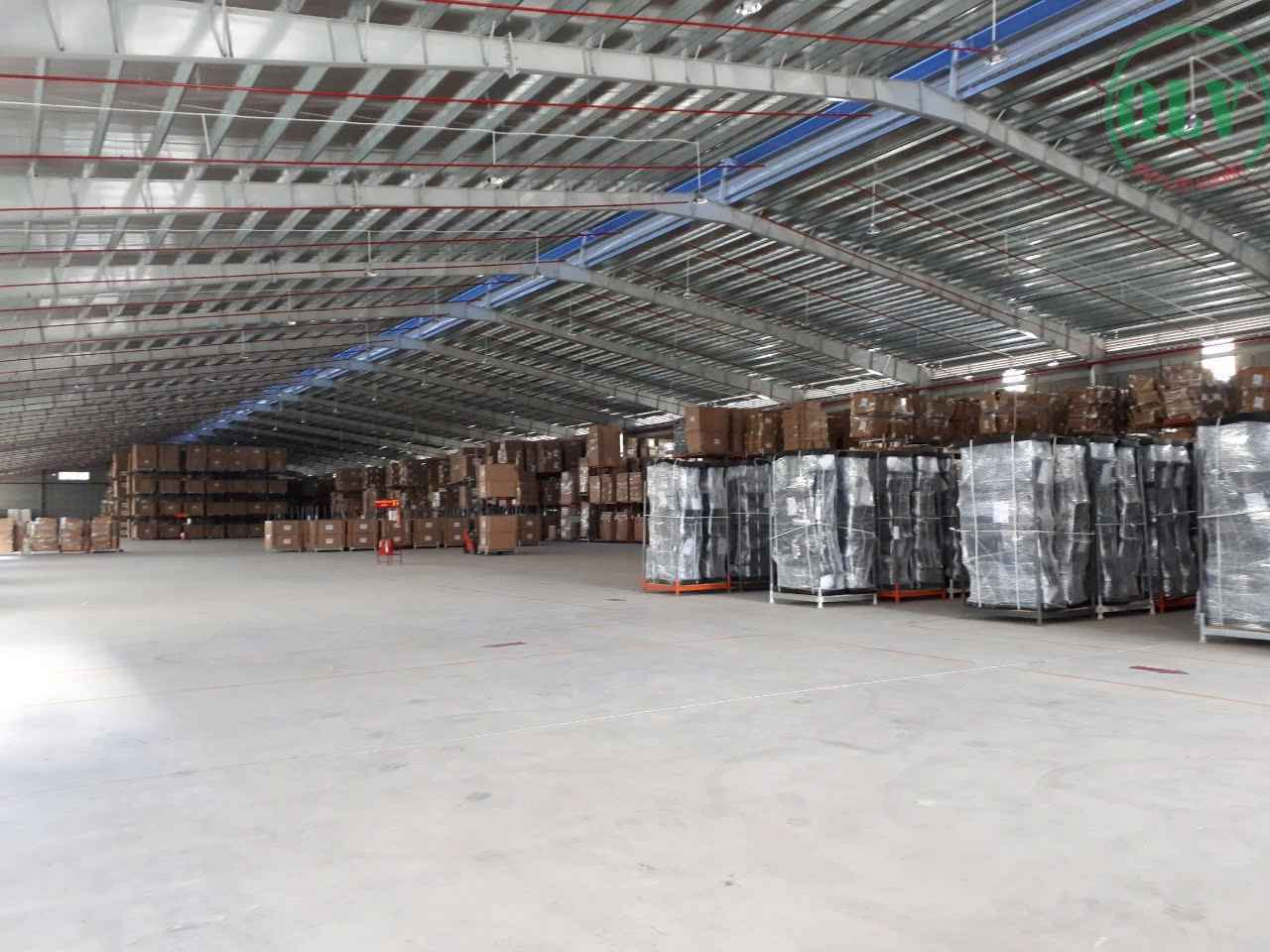 Ảnh đại diện