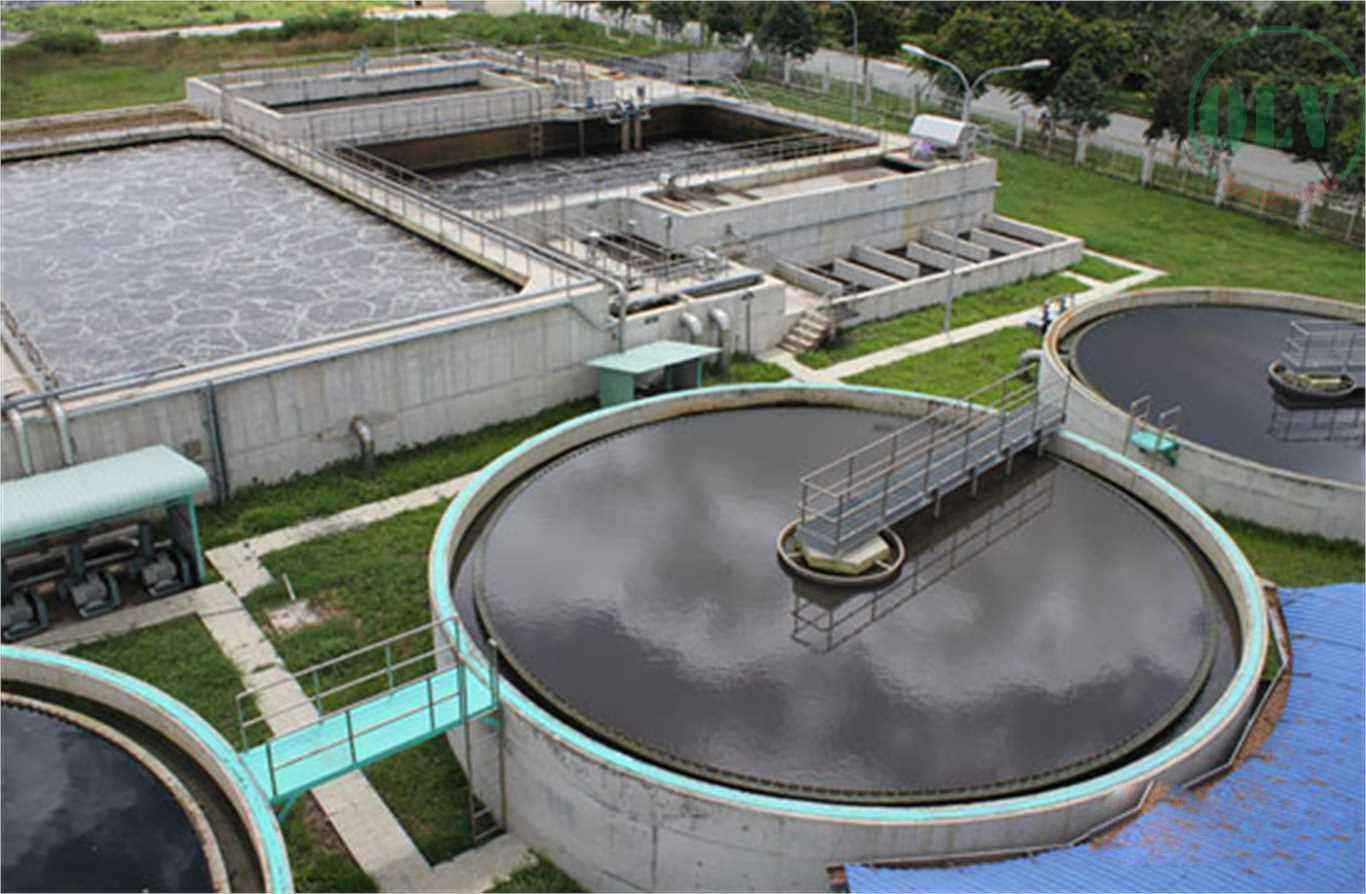 Ảnh đại diện