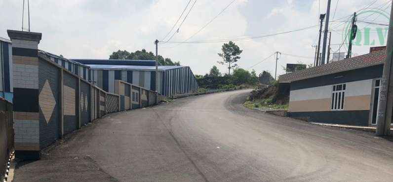 Ảnh đại diện