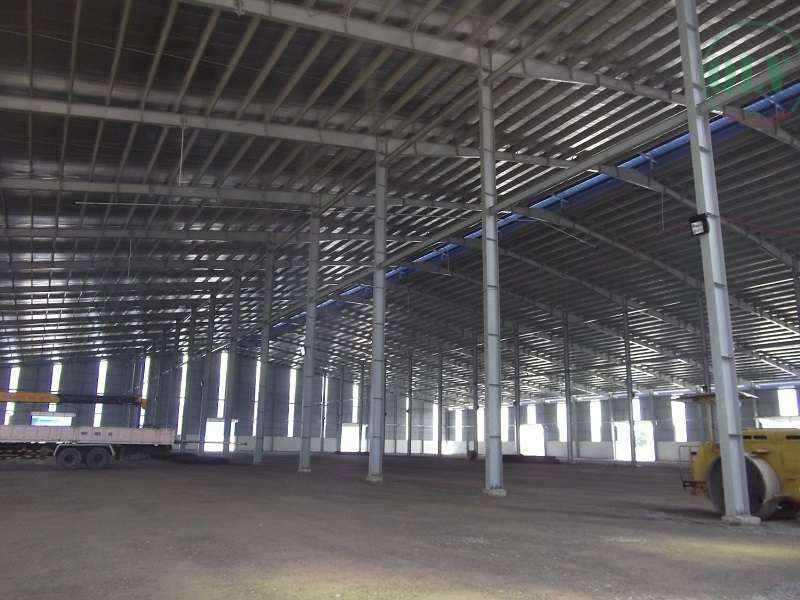 Ảnh đại diện