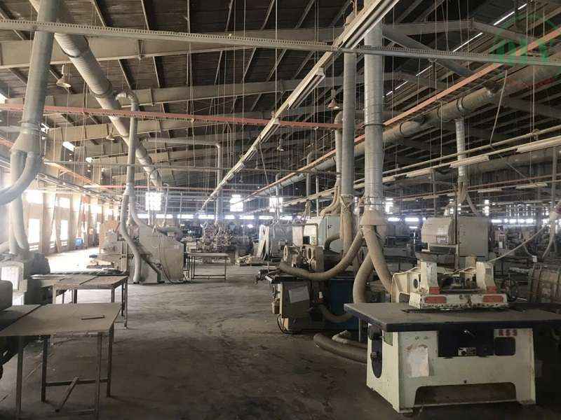 Ảnh đại diện