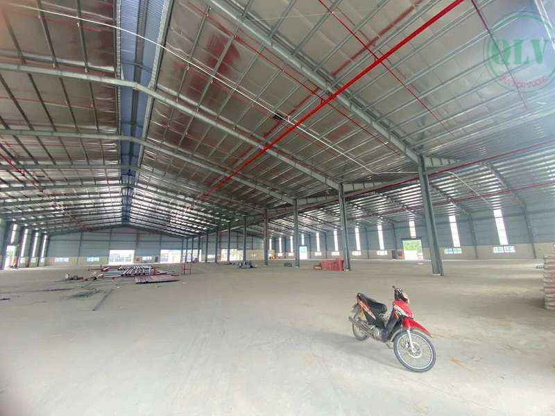 Ảnh đại diện