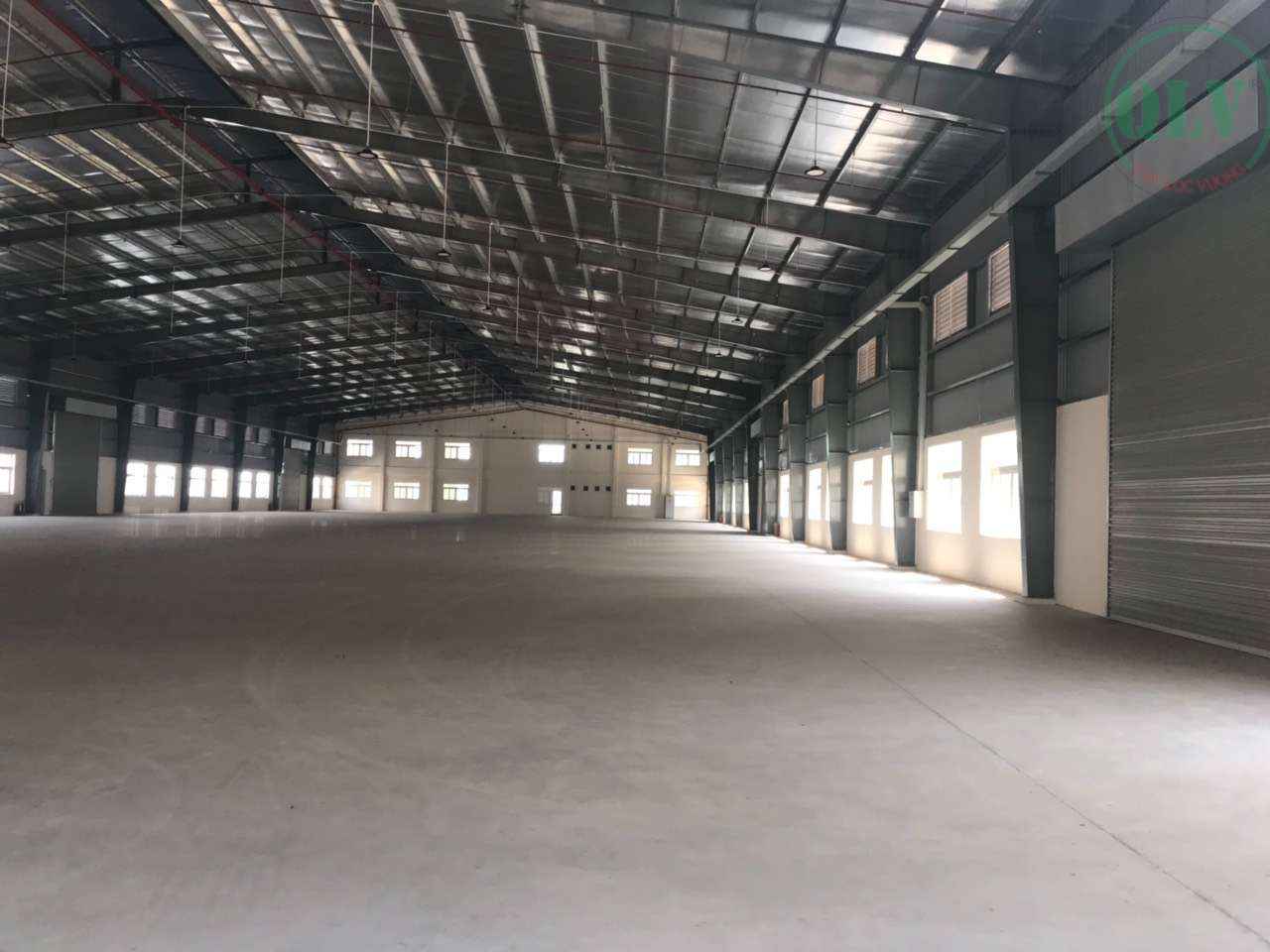 Ảnh đại diện