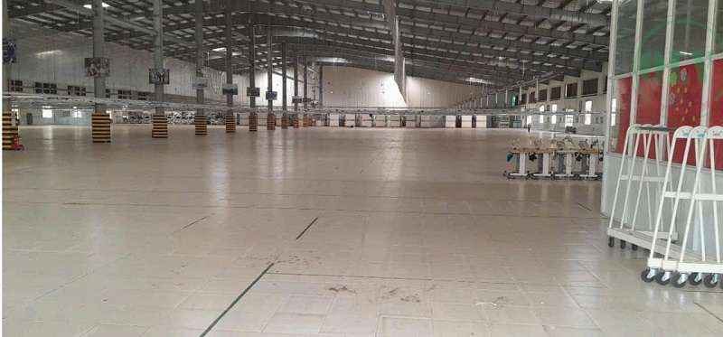 Ảnh đại diện