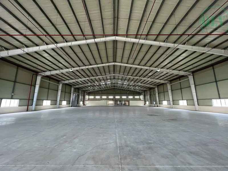 Ảnh đại diện