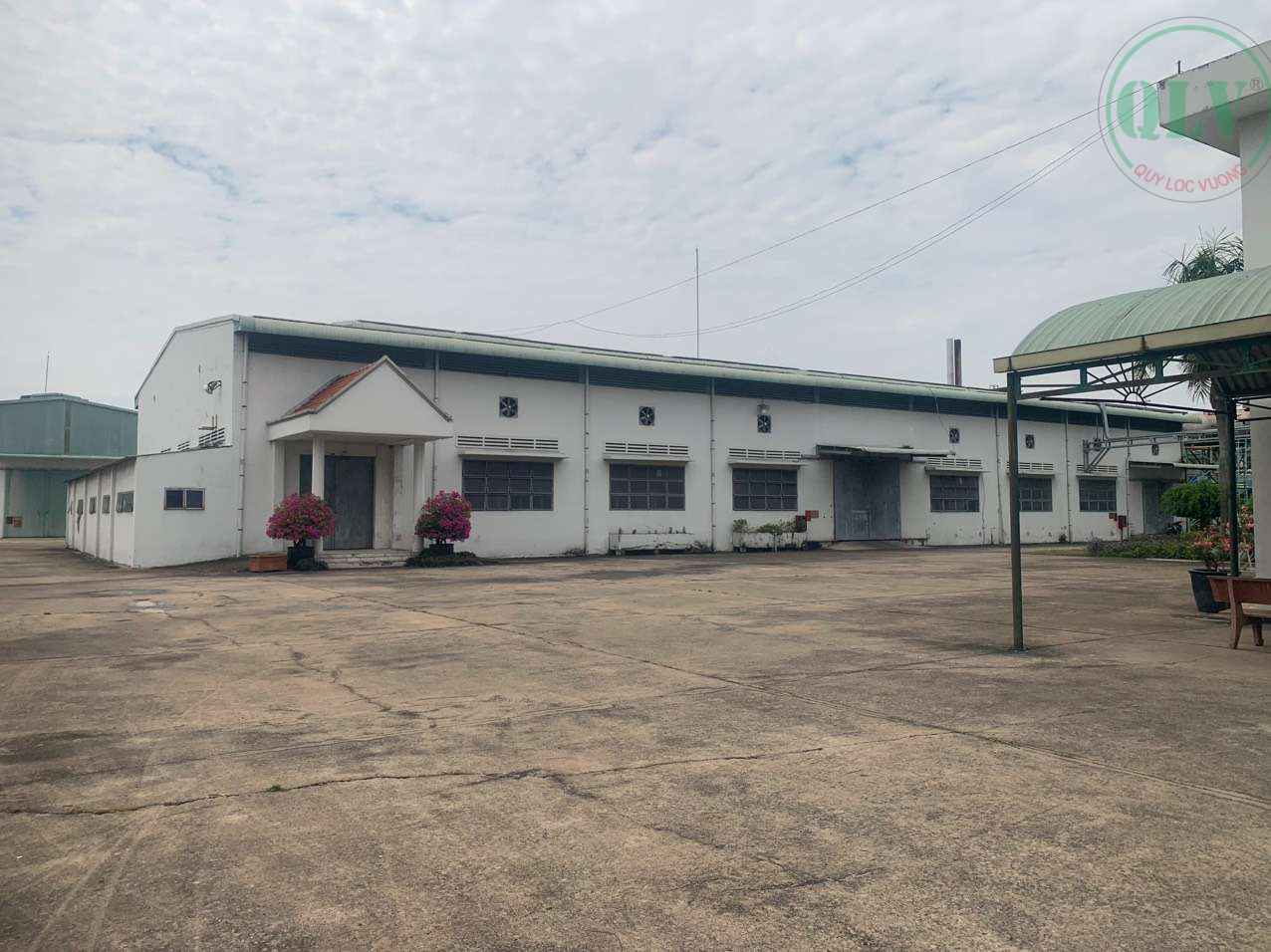 Ảnh đại diện