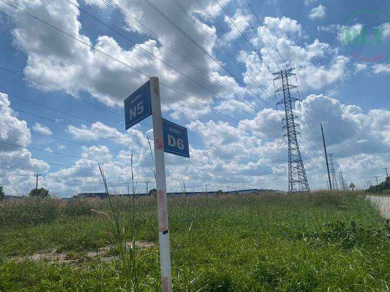 Ảnh đại diện