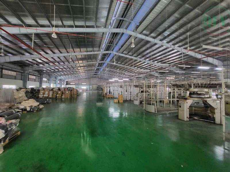 Ảnh đại diện