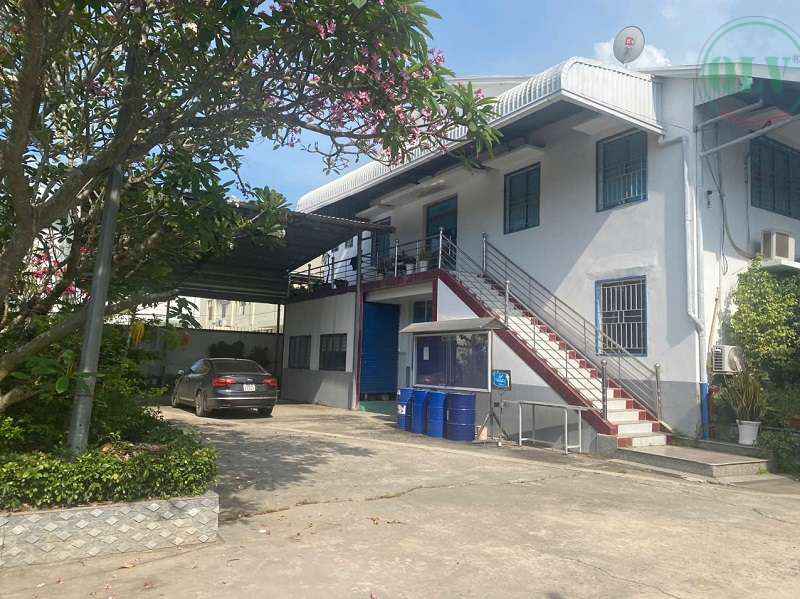 Ảnh đại diện