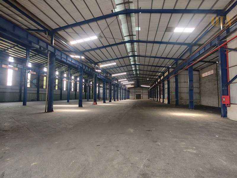 Ảnh đại diện