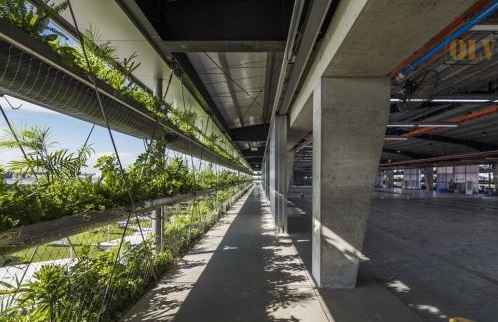 Ảnh đại diện