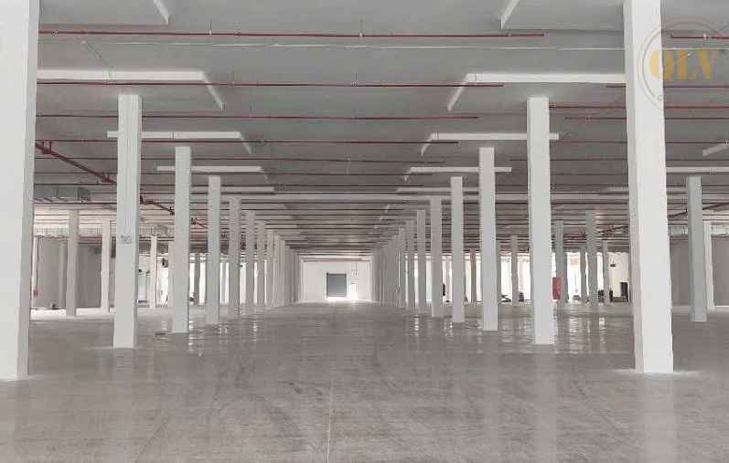 Ảnh đại diện