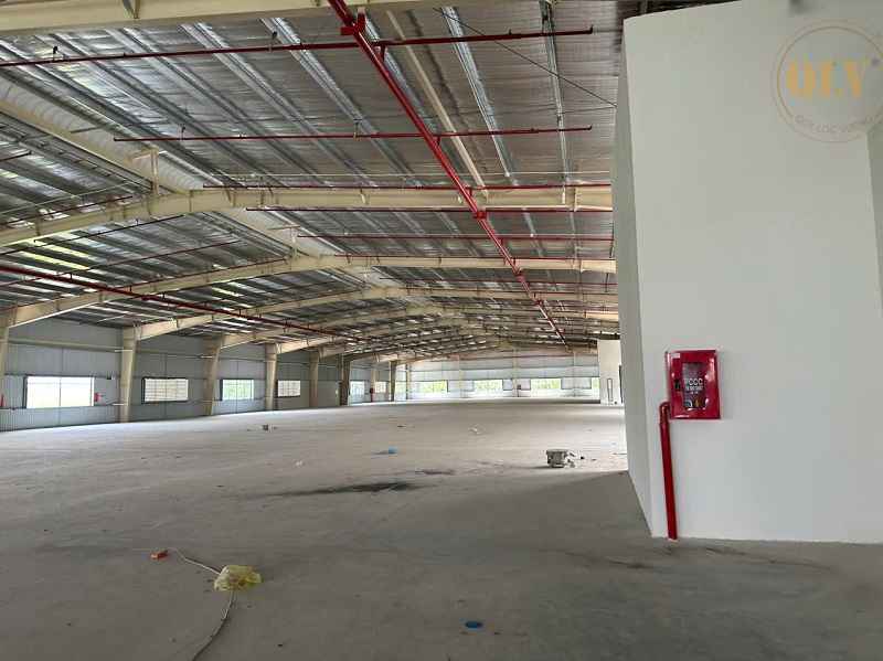 Ảnh đại diện