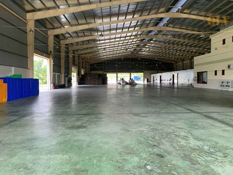 Ảnh đại diện