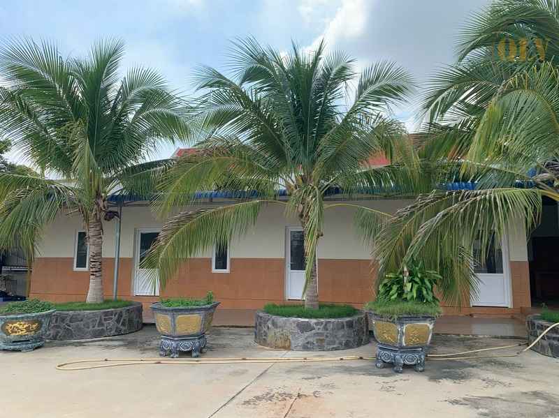 出售农产品生产厂房