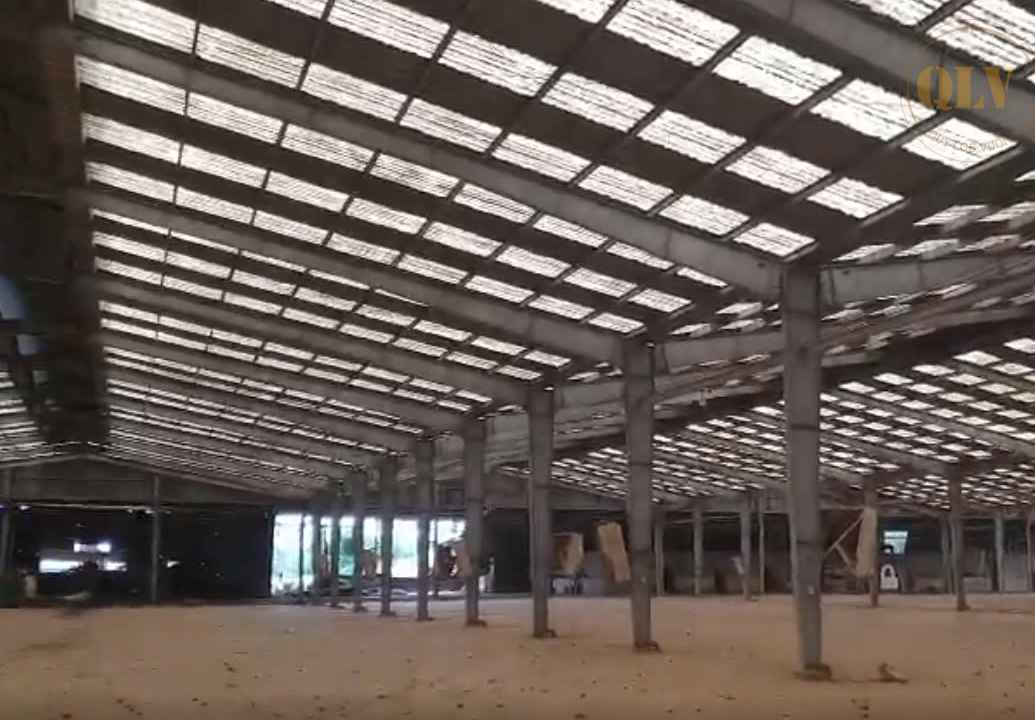 Ảnh đại diện