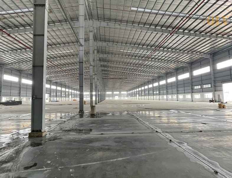 Ảnh đại diện