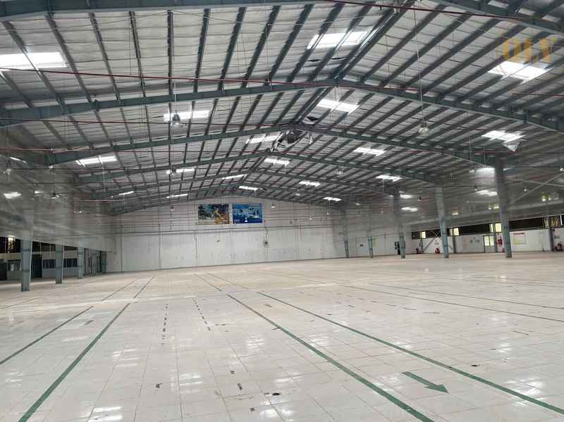 Ảnh đại diện