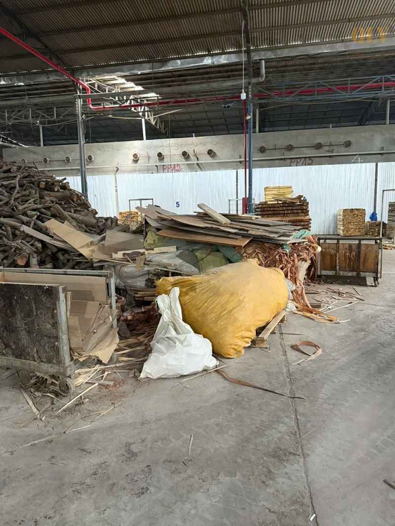 Ảnh đại diện