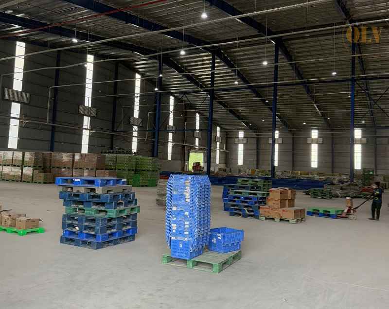 Ảnh đại diện