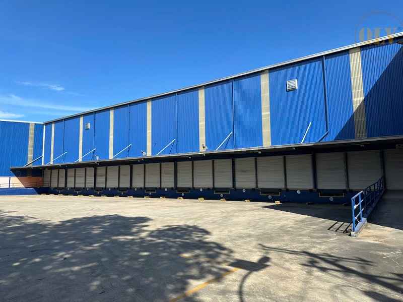 平阳仓库出租，配备货架系统，集装箱装卸平台