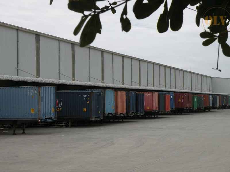 平阳仓库出租，配备货架系统，集装箱装卸平台