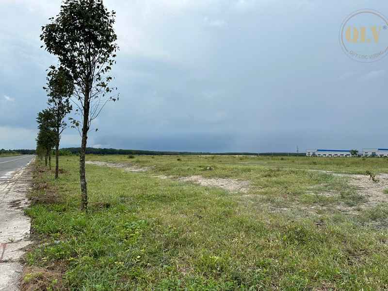 Ảnh đại diện