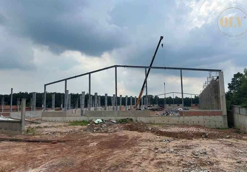 Ảnh đại diện