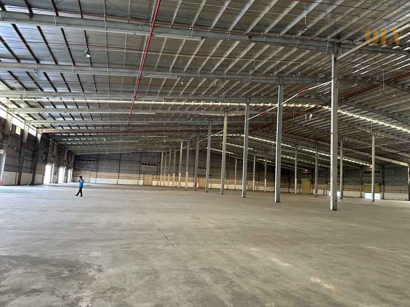 Ảnh đại diện