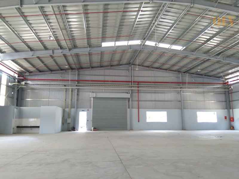 Ảnh đại diện