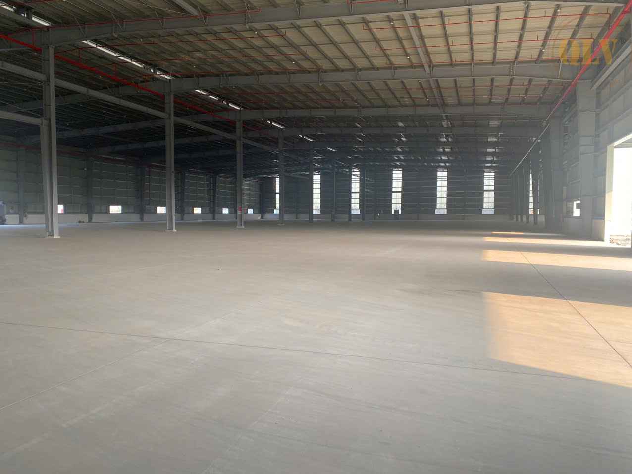 Ảnh đại diện