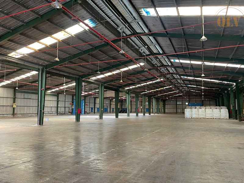 Ảnh đại diện