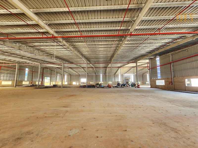 Ảnh đại diện