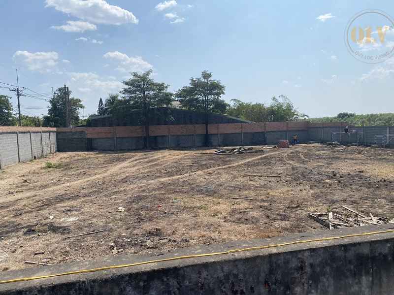 Ảnh đại diện