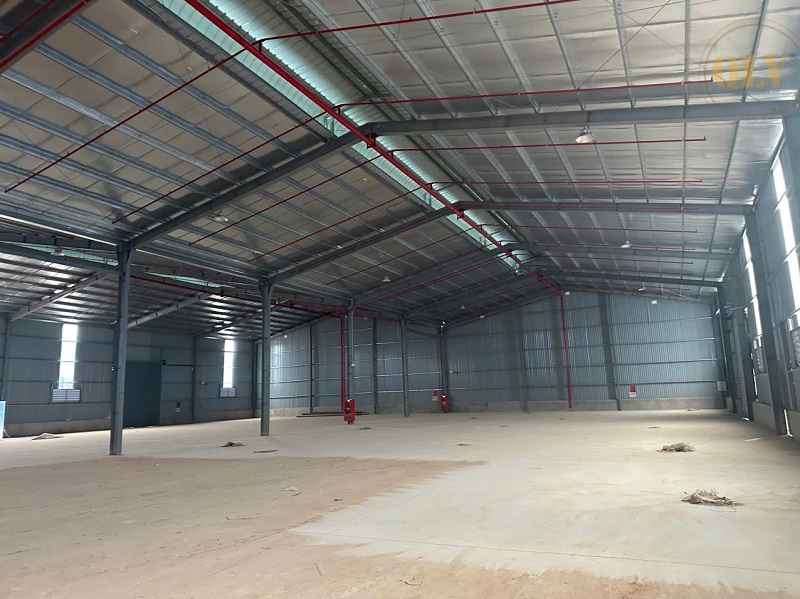 Ảnh đại diện