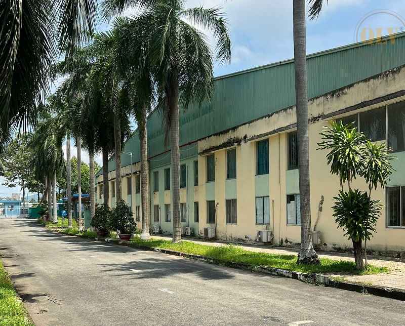 Ảnh đại diện