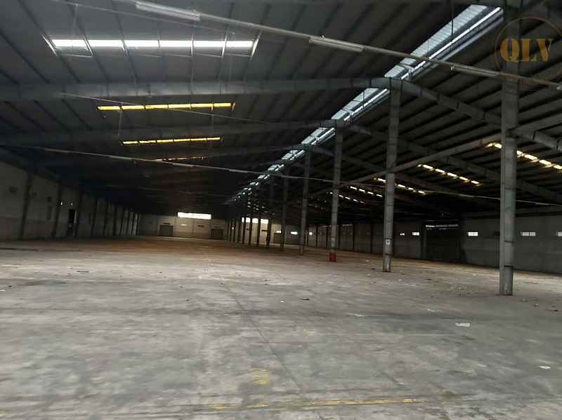 Ảnh đại diện