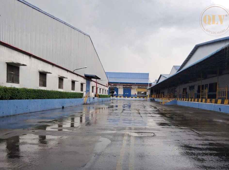 Ảnh đại diện