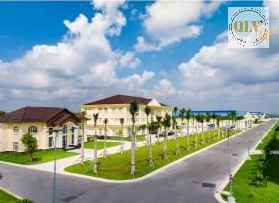 Ảnh đại diện