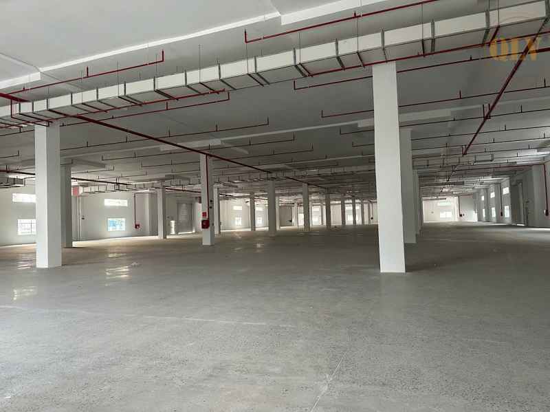 平阳省工厂出租，工业区，设施现代