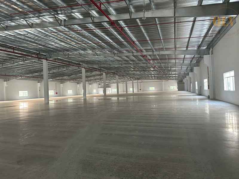 Ảnh đại diện