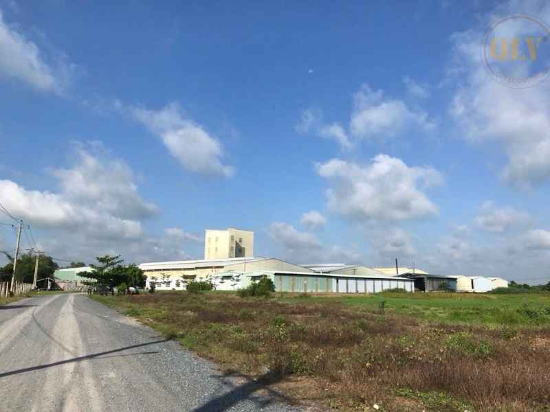 牧饲料加工厂出售，西宁省