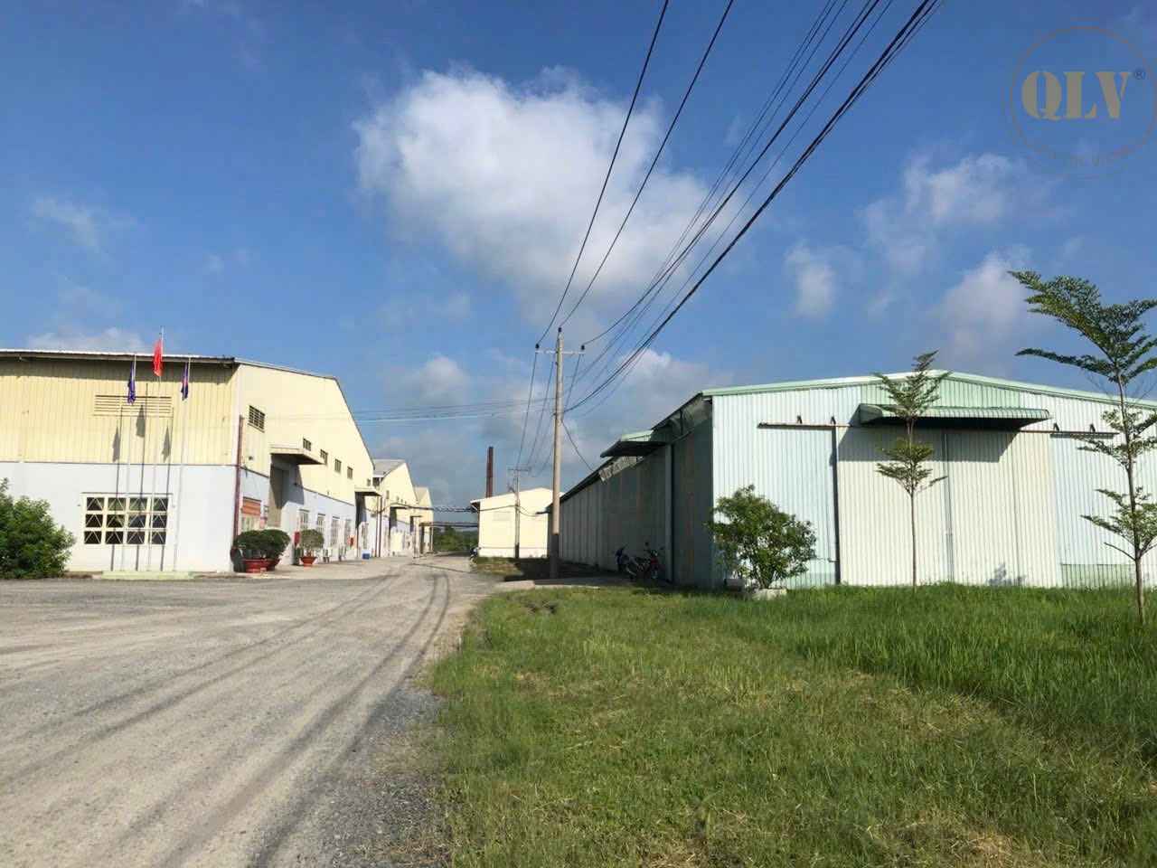 Ảnh đại diện