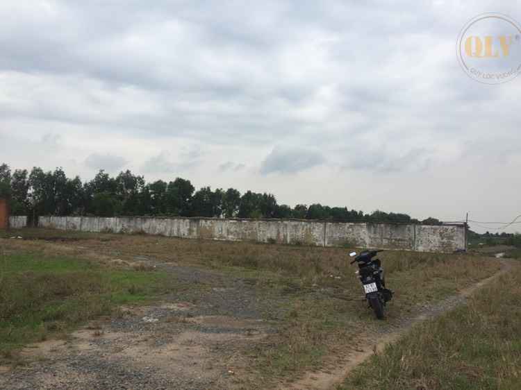 Ảnh đại diện