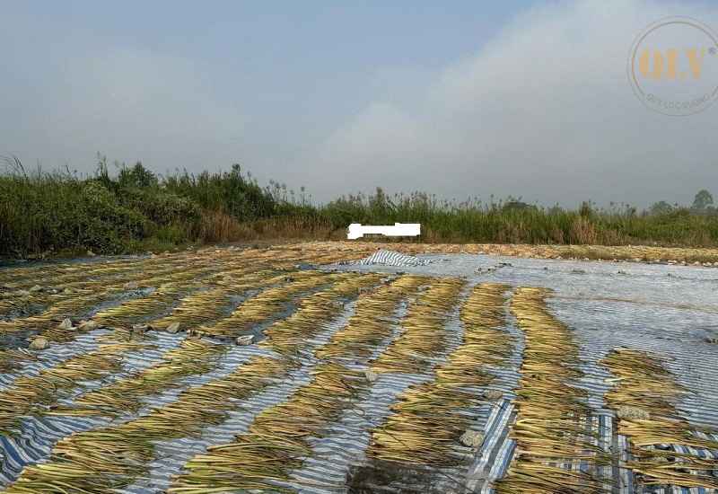 出售建厂用地，面积21,467平方米，法律手续齐全