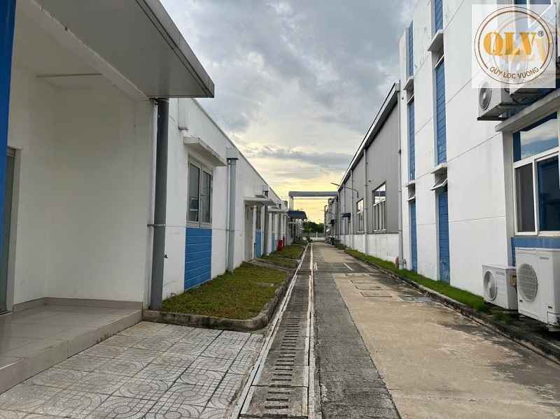 Ảnh đại diện