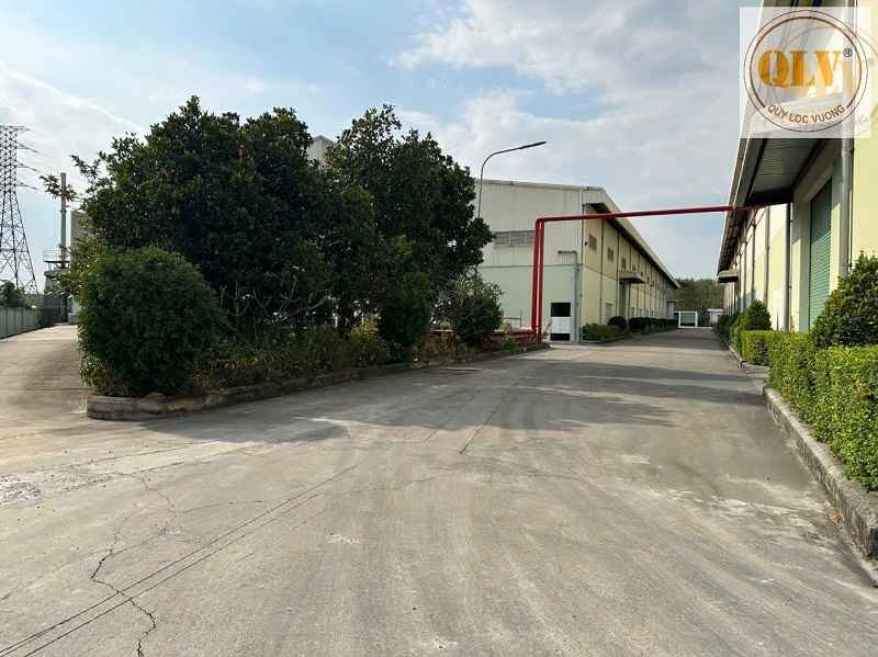 平阳省工厂出租，5栋厂房，配套办公室