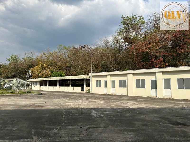 平阳省工厂出租，5栋厂房，配套办公室